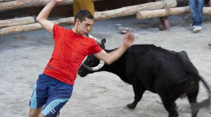Fiestas de Castril